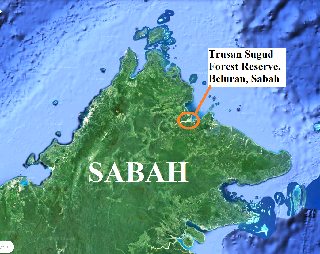 Horsfield’s Flying Squirrel: Sugut Trusan FR, Beluran, Sabah. – MAMMALS ...
